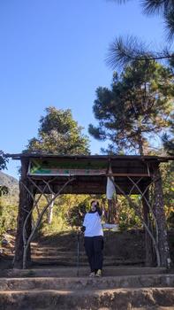 Product Review of Celana Jogger Sweetpants - Celana Cargo Jogger Wanita from P**u 0