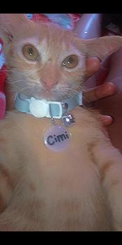 Product Review of Kalung Kucing Bahan Kulit Bisa Costum Nama from 𐙚**ㅤ 2
