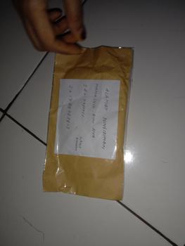 Product Review of Anting knip anak mata 2 harian tanaman from R**i a**. 0