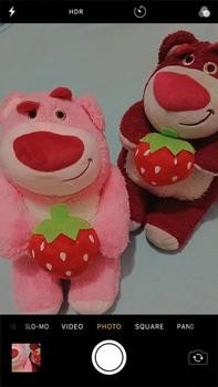 Product Review of Gấu Dâu  Lotso bế trái dâu Toy Thú Nhồi Bông Thú Bông Đồ Chơi from m** n** n** a** 0