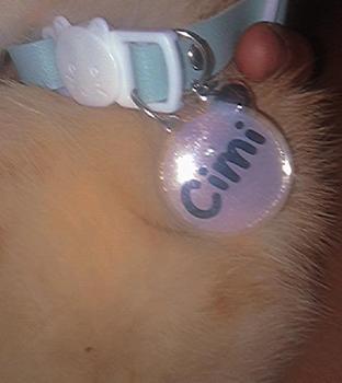 Product Review of Kalung Kucing Bahan Kulit Bisa Costum Nama from 𐙚**ㅤ 1