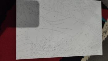 Product Review of PAINT BY NUMBER 20x30 CM KANVAS PAINTING WITH FRAME CAT KUAS - AESTHETIC LANDSCAPE from ᅠ*** 2