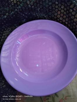 Product Review of Promo 1 Lusin Piring Melamin Asli SNI Model Bulat Besar Dan Tahan Panas from K** 1