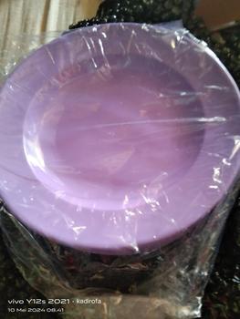 Product Review of Promo 1 Lusin Piring Melamin Asli SNI Model Bulat Besar Dan Tahan Panas from K** 3