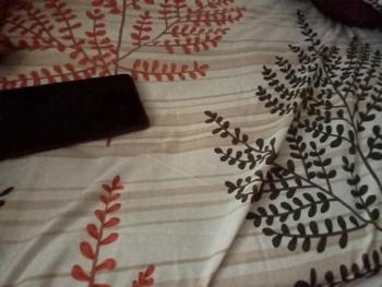 Product Review of AF Sprei Center SPREI BISA COD TINGGI 20 CM UK 120x200 160x200 180x200 Seprei SUDUT KARET SET SARUNG BANTAL DAN GULING from d**y w**e 1