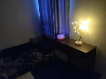 Product Review of Lampu Tidur Model Pohon Ranting Unik Colokan USB / Tenaga Baterai Dekorasi Kamar Kawat Tumblr Led/Led Tree Romantic Night Light Meja Samping Tempat Tidur Hadiah Ulang Tahun Lamp Led Plastik from L**u M**m 2