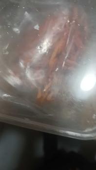 Product Review of Đông trùng hạ thảo 200g, nuôi 70 ngày, mua 3 tặng 1,vận chuyển và bảo quản thùng xốp và Đá khô, bảo hành 1 Đổi 1   đông from L** M**h T**n 0