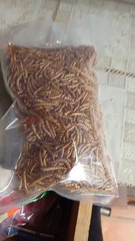 Product Review of Sâu size trung sấy khô thức ăn cho hamster sóc nhím from m**h t** 0