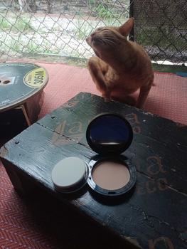 Product Review of (HF201)ซีเวนน่า แป้งผสมรองพื้น Sivanna Super Cover Two Way Cake Powder from อ**ต 0