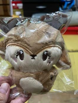 Product Review of [ENH] Unoff Enhypen Doll Plushie Jay Jake Heeseung Niki Jungwon Sunoo Sunghoon Boneka karakter Toys from メ**コ 0