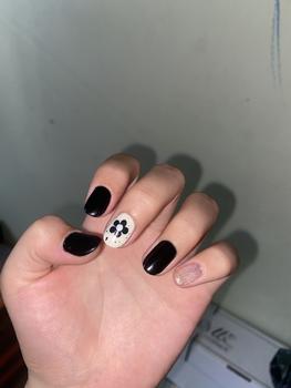 Product Review of COVERAL KLORS -【đóng gói hộp quà tặng】Túi xách nữ hình vỏ sò, phong cách Pháp thanh lịch, phong cách thời trang đơn giản, túi đeo vai nữ màu trắng Bag Da from T**h B**h 0
