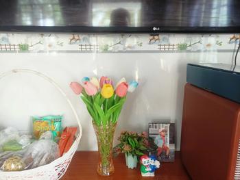 Product Review of Hoa Giả - Hoa Tulip nhiều màu sắc trang trí xinh xắn, nhẹ nhàng, phụ kiện decor phòng Hoa Sen from 🫧**𝙩 𝙋**🐾 0
