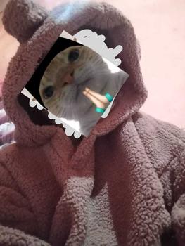 Product Review of Sweater Hoodie Crope V Bear Sherpa Bulu Domba Fit Wanita Tebal Oversize Cream from u**4 1