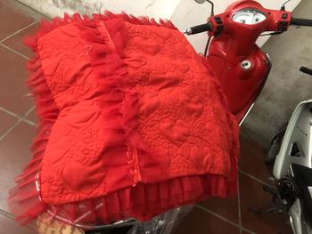 Product Review of Bộ ga gối 3 món(1ga,2 vỏ gối) cotton hàn quốc trần bông cao cấp, tiểu thư sang chảnh from l**9 1