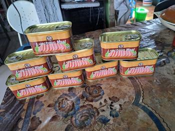 Product Review of 【Buy 2 Get 6 Free】Mr Squirrel Luncheon Meat  198g 8pcs Wholesale In Box (Mix Of Chicken & Pork/80% Pure Pork) Instant Food from V**e G**a 1