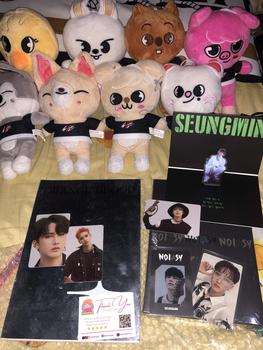Product Review of [SEALED] STRAY KIDS RANDOM ALBUMS [CD] from m**a 0