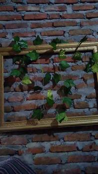 Product Review of Daun Rambat Daun Palsu Aesthetic Daun Artificial Tanaman Rambat Daun Plastik Daun Gantung Ivy Anggur Sirih Srigading Dekorasi Kamar Aestehtic Aksesoris Hiasan Dinding Merah from b**a r**o 1