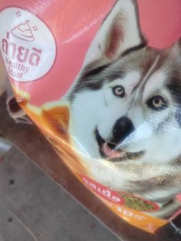 Product Review of KIN D สุนัขโต รสเนื้อ 10 KG from B** 1