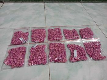 Product Review of 5. GÓI BẮP NẾP NÙ SỬA GÓI 100_120 HẠT CHIẾT RA TỪ GÓI LỚN 1 KG from 6**5 0