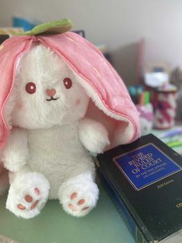 Product Review of 1pcs Cute Plush Strawberry Rabbit Doll Carrot Rabbit Fruit Bunny Plush Toy Home Decoration Birthday/festival Gift For Children (Various Size) from K**. 0
