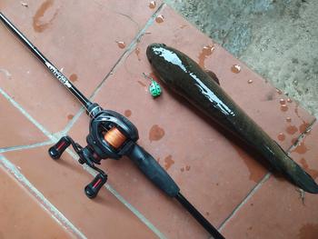 Product Review of Máy câu ngang proberos P4 nhẹ có tiếng drgalciker Lure Câu Cá Đi Câu Fish Fishing Câu Lure from C**í m** t**h c** 🎣** 1