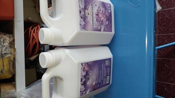 Product Review of ใหม่!MAOPROCHANG น้ำยาซักผ้า พลังช้างแกลลอน 9200มล. (4600มล.x2) กลิ่น Violet ทำความสะอาด Cleanน้ำยาซักผ้าสูตรเข้มข้น ขจัดสิ่งปนเปื้อนขั้นสุด ขจัดครา ลาเวนเดอร์ ขจัดคราบ น้ํา  ล้าง น้ํา  ปรับ from จ**ณ 0