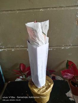 Product Review of pot hitam harga 110-190 from c**a 1