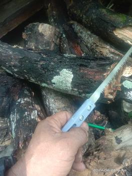 Product Review of Saw Mini Woodworking Saw Small Saw Wood Saw Hand Saw Logging Saw from V**r T**d 0