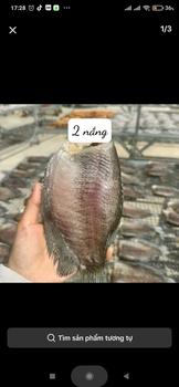 Product Review of khô cá sặc bổi lạc vừa ăn 2 nắng 9- 10 con/1kg from T**y 0