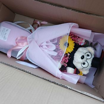 Product Review of Bó hoa gấu tốt nghiệp (gấu nhồi bông lông xù 20cm hoặc 30cm) Thú Bông Thú Nhồi Bông  hoa đẹp dịp quà tặng kỉ niệm sinh nhật bạn trai, bạn gái, hoa giả, shop hoa đẹp nghệ thuật, trang trí, lễ tốt nghiệp from T**n 0