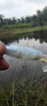 Product Review of Umpan Casting Propeller Water Tractor 10cm/13gr Umpan Pancing Ikan Ekor Berputar Treble Kail Metal from T**y L** C** U** 0
