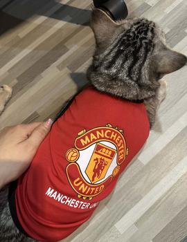 Product Review of เสื้อหมา เสื้อแมว ลายทีมฟุตบอล (เบอร์ 1-6) ลายกีฬา เสื้อผ้าสัตว์เลี้ยง แกสบี้ กระต่าย เสื้อผ้าแฟชั่น ผ้านุ่ม ใส่สบาย from K**i y** 1