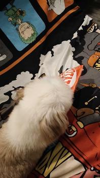 Product Review of 1pcs Sound Paper Bite Toy Simulation Potato Chips Chewing Toys Pet Voice Toy Dog Cat Decompression Toy Durable from Y**C 0