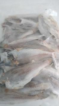 Product Review of 1Kg KHÔ CÁ ĐÙ NHỎ VỊ MẶN CÀ MAU (Khách thích ăn cá nhỏ, mặn mình ủng hộ Út nhé) from C**9 0
