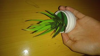Product Review of 14cm Simulation Potted Plant Perfect Plastic Display Mold Bonsai Home Decor 1PCS MY232 from D**4 1