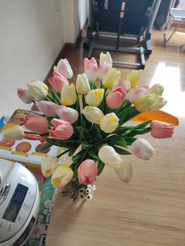 Product Review of [ 10 Bông ] Hoa Tulip Giả Decor Trang Trí Nhà Cửa Nhiều Màu Sắc 35cm - Duli.B Home from T**u S**g V** 1