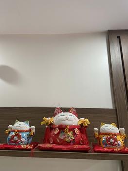 Product Review of 【Hot】 Hũ Tiết Kiệm Mèo Kèm Thảm Decor Decor Phòng Ống Heo Đựng Tiền Ống Tiết Kiệm from O**h ** 0