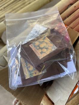 Product Review of 5 แถม1 เมล็ดดอกดาวเรือง ปลูกง่าย โตไว อัตรางอกสูง from P**n 0