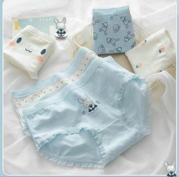 Product Review of GẤU - combo 5 quần hình gấu xᶖnh chất cotton pha from S**i 0