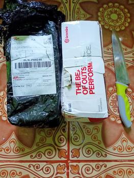 Product Review of Master rem oval copy RCB E2 Paket kiri + Kanan Tabung 1Set Universal from S**P 2