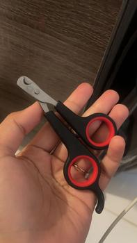 Product Review of Gunting Kuku Kucing Anjing - Alat Pemotong Kuku Hewan Pet Nail Clipper from a**n 0