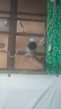 Product Review of Black Portable Clip Fan/Hanging Fan/Electric Fan from m**a j**a ** c**9 0