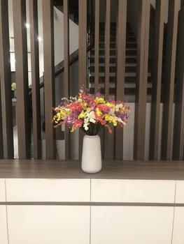 Product Review of (Hoa lụa) Combo 10 cành lan vũ nữ trang trí Decor Phòng Decor Decor Bàn Trang Trí Nhà from N**k N**n 2