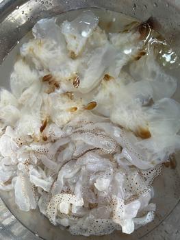 Product Review of combo 1kg sứa chân và 1kg sứa mình chưa xả mặn from E**y ** 0