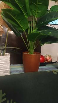Product Review of 2pcs medium classy plastic plant pot flower pot garden mm from l**e 0