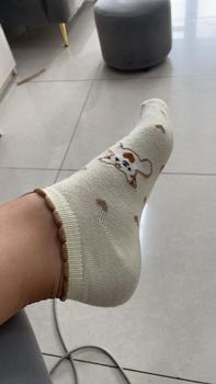 Product Review of Vớ nữ cổ ngắn Tất nữ sét 10 đôi - tất nữ cổ ngắn hoạ tiết gấu màu nâu - T03 Cotton Denim Women from B** n**n 0