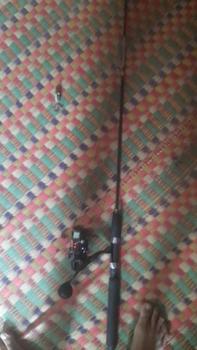 Product Review of bộ cần 2 khúc 1 cần và 1 máy fs Fishing Bắt Cá from S**O 2