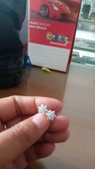 Product Review of Anting Tusuk Permata Import from n**i 0