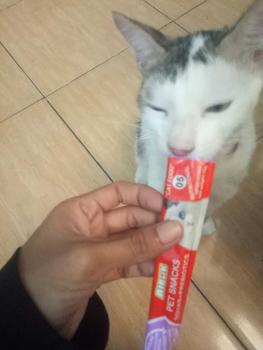 Product Review of Snack kucing creamy 1 kg 65 pcs Bestseller Cingka natural 24 bulan from m**a 1
