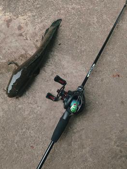 Product Review of Máy câu ngang proberos P4 nhẹ có tiếng drgalciker Lure Câu Cá Đi Câu Fish Fishing Câu Lure from C**í m** t**h c** 🎣** 2
